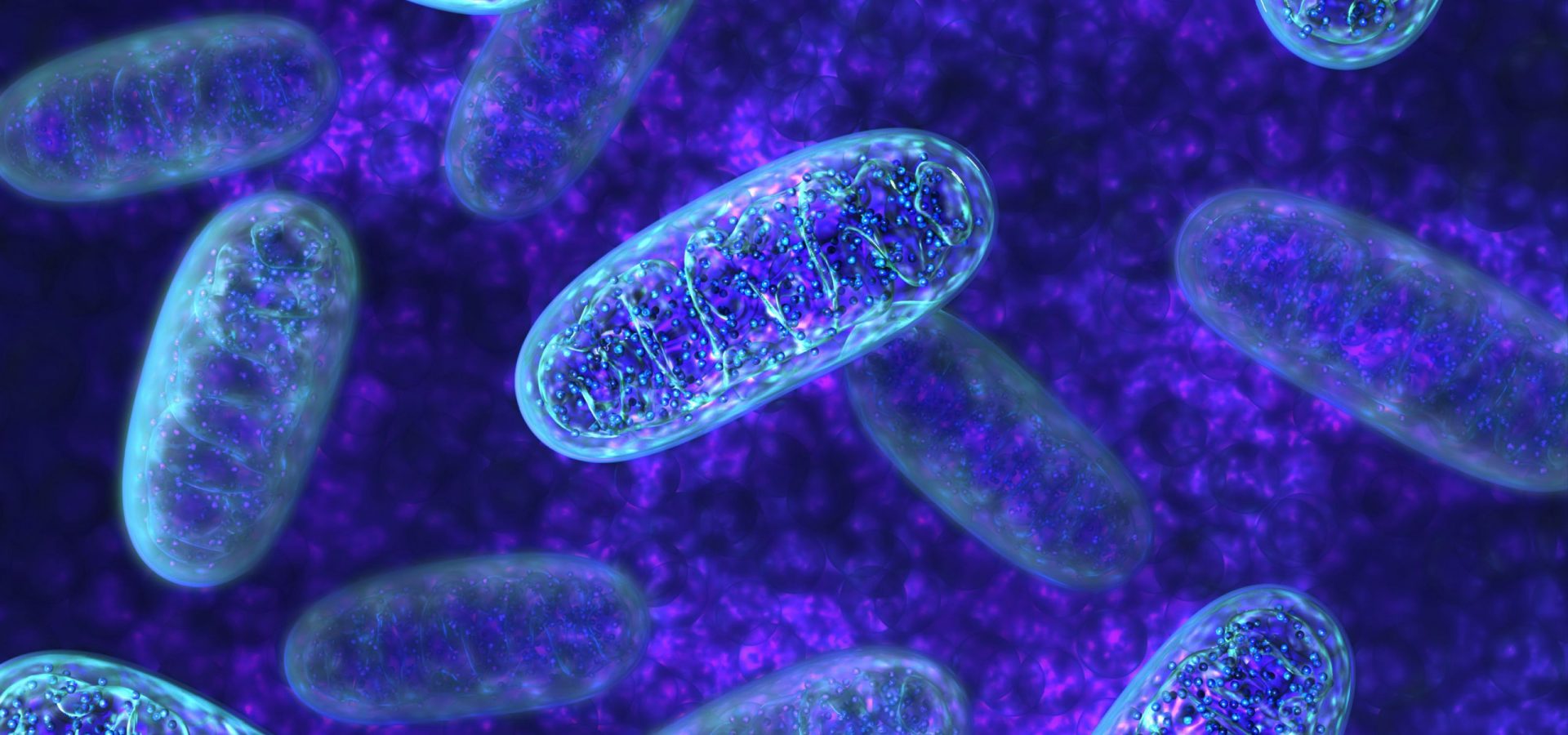 ARC Centre of Excellence in Synthetic Biology